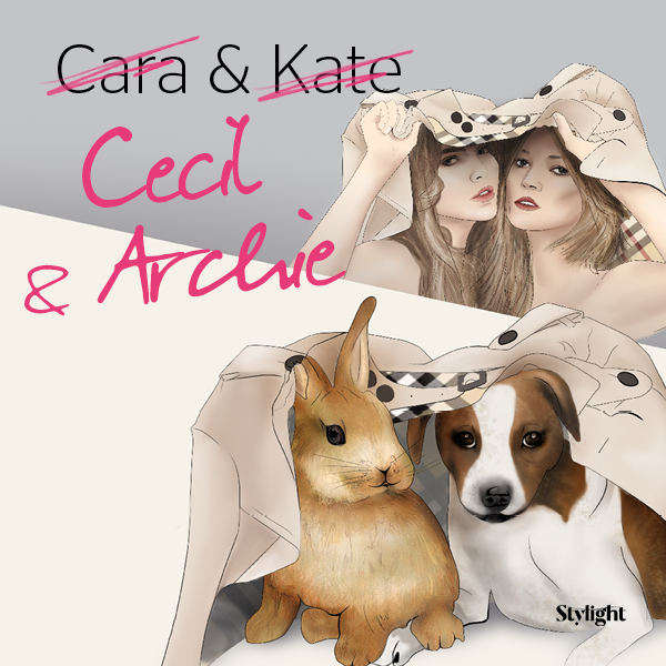 die erfolgreichsten Celebrity Haustiere mit Cara Delevingnes Hase Cecil Delevingne