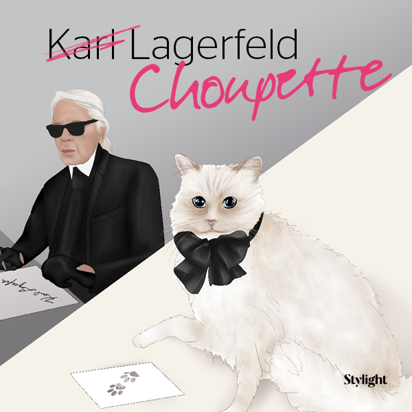 die erfolgreichsten Celebrity Haustiere mit Klar Lagerfelds Katze Choupette