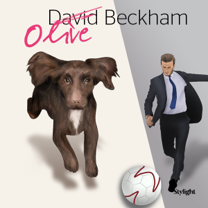David und Victoria Beckhams Hund Olive als eines der erfolgreichsten Haustiere der Stars als Grafik
