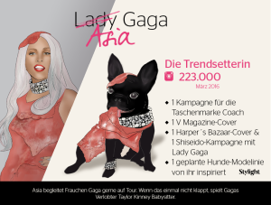 Die erfolgreichen Haustiere der Promis mit Lady Gagas Hund Asia