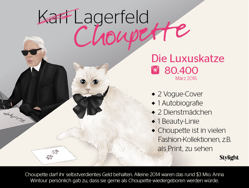 Karl Lagerfelds Katze Choupette